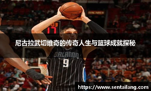 尼古拉武切维奇的传奇人生与篮球成就探秘