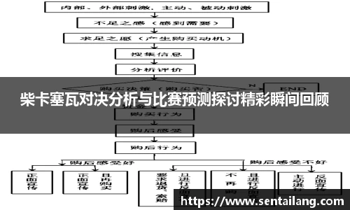 柴卡塞瓦对决分析与比赛预测探讨精彩瞬间回顾