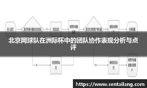 北京网球队在洲际杯中的团队协作表现分析与点评